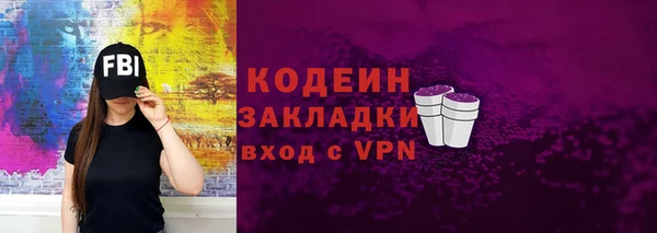 ГАЛЛЮЦИНОГЕННЫЕ ГРИБЫ Богданович