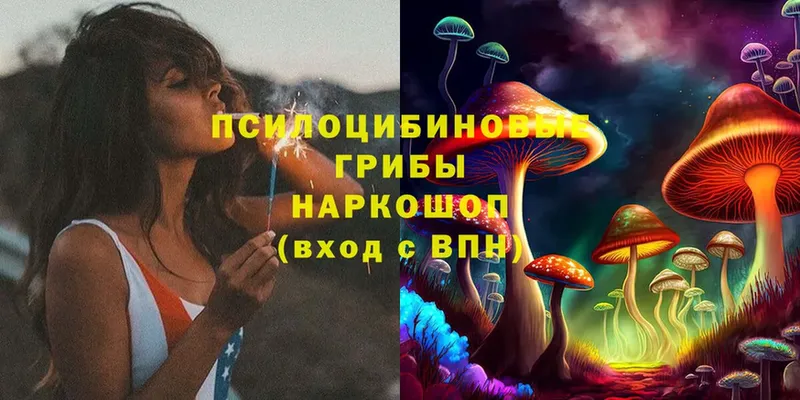 Псилоцибиновые грибы MAGIC MUSHROOMS  купить наркоту  Малаховка 